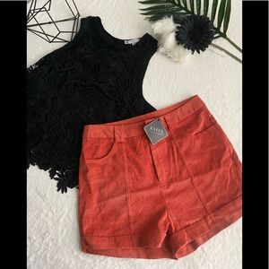 Hi rise shorts (NWT)